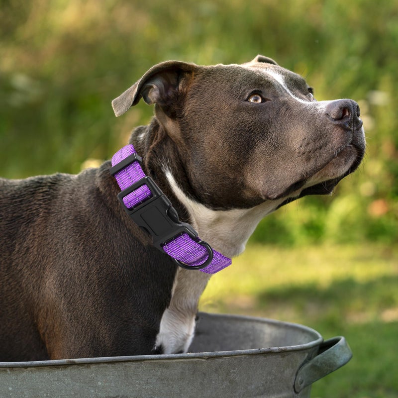 Mile High Life Dog Collar | Nylon Reflective Dog Collars | Light Weight Puppy Collars | Purple Dog Collars for Medium Dogs (Solid Purple, Medium) - Image 2